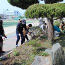 장항중앙초등학교 이미지