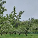 목천농장 이미지