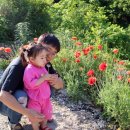 정원펜션 이미지