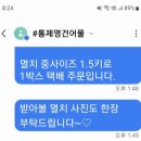 통제영건어물