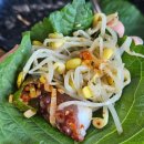 삼성낙지칼국수 이미지