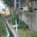 봉곡동116 이미지