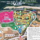 평화강변 수목캠핑장 네이버블로그