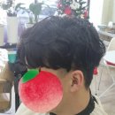 엘렌헤어 이미지
