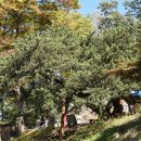 향나무공원 화장실 이미지