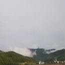 솔내음과 물소리 이미지