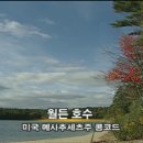 월든(WALDEN)