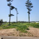 물메초등학교 이미지