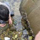 어은돌 바다여행 이미지