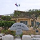 차우리다