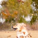 파주출판단지 근린공원(1) 이미지