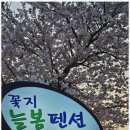 꽃지늘봄펜션