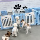 호두네 맡겨보개 이미지