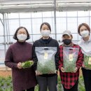 예산여성농업인센터 | 귀농단계 : 여성귀농인…✨충청남도 예산군 청년여성농업인 "꽃여농" 의 루꼴라