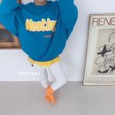 동탄나무로 이미지