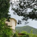 몽린이집 이미지