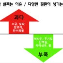 매곡점핑다이어트