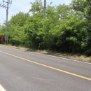 당진시대공인중개사사무소 이미지