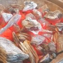 산골오리 이미지