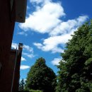 더파란 민박 이미지