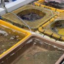 어시장길 24-5 이미지