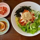 속초댁회국수