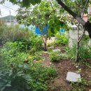 까페점촌6길 이미지