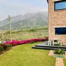 예삐농원 이미지