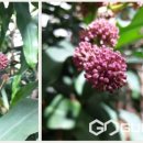 [수성구청] 생각을 담는 정원 이미지