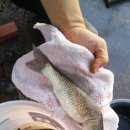 백운낚시터 이미지