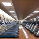 스포테라 이미지