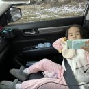 장충동왕족발비엔에프(아산점) | 12월23일~12월29일 주간일기