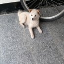 조양로103번길 이미지