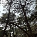 반구대로 | 울산 울주군 통도사 맛집 어가명가 어죽칼국수 솔직후기