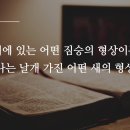 05. 신명기(Deuteronomy) 이봉규 아나운서 이미지