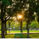 동도 경로당 이미지