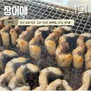 UR(파주시)-[문발로]-상-1 | 파주 장어 맛집, 몸보신에 최고인 “장어애”
