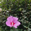 단원구청 이미지