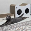 필동물종합병원 이미지