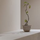 어바인피부과의원 이미지