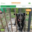 중리공단로 이미지