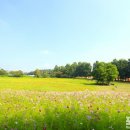 한들농장 이미지