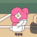 수양빌딩 | 2025 SMG SHOW 우주최강쇼 | 이화여대 대강당 나열 시야 | 우주최강쇼 후기