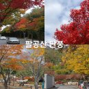 백안주유소 | 대구 팔공산 단풍 드라이브: 물들어 가는 중이지만 즐기기엔 충분해!