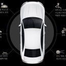 디자인칼트