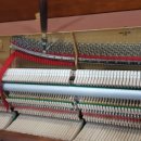 월산중학교 이미지