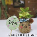 해남노인종합복지관 이미지