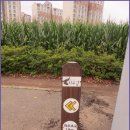 경기옛길 의주길 제4길 파주고을길 이미지