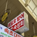 [속초] 속초대일호방어-신선함 제대로였던 모듬회 후기 | 속초 회포장 맛집