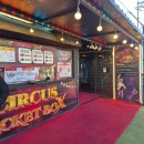 추억의 동춘서커스 | 대부도 동춘서커스 관람 후기 겨울 아이와 가볼만한곳, 주차 무료·매점 정보